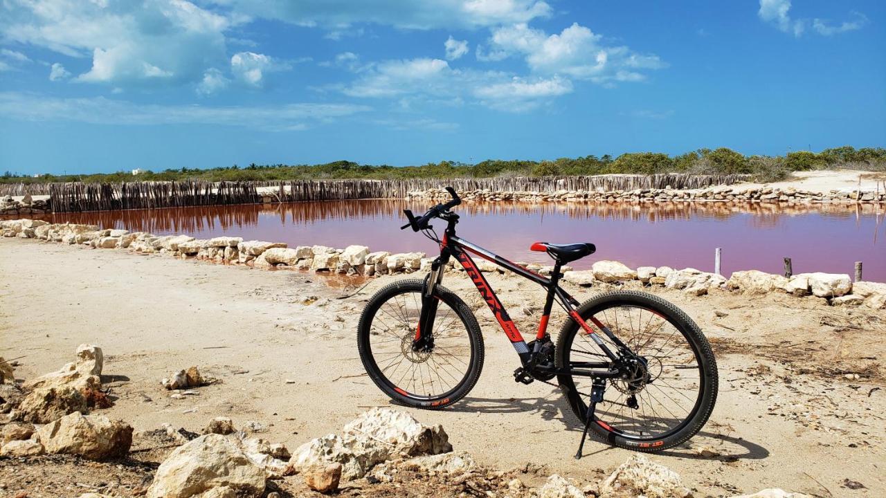 Reef Yucatan All Inclusive & Convention Center Mérida Exteriör bild