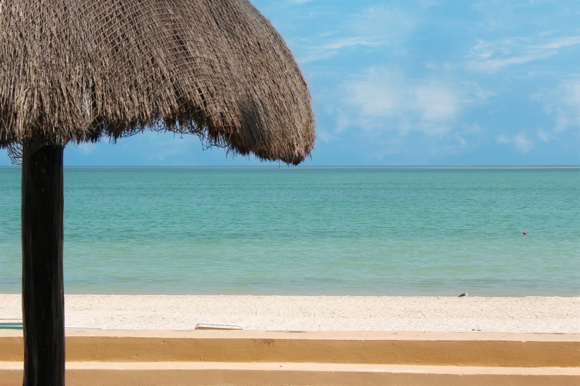 Reef Yucatan All Inclusive & Convention Center Mérida Exteriör bild